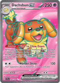 Dachsbun ex #160/142 - SV07: Stellar Crown - Near Mint