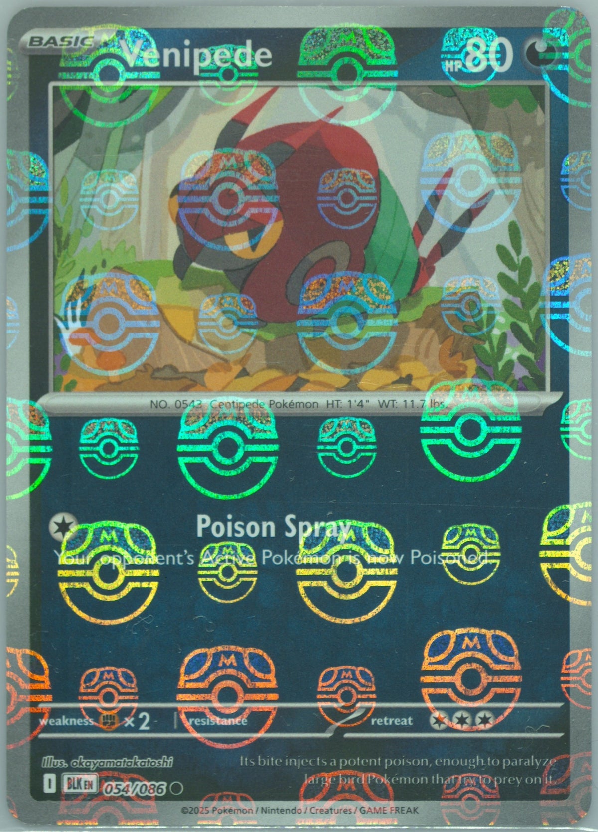 Venipede (Master Ball Pattern) #054/086 - SV: Black Bolt - Near Mint