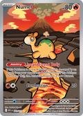 Pokémon — Numel — Ascended Heroes (IR)