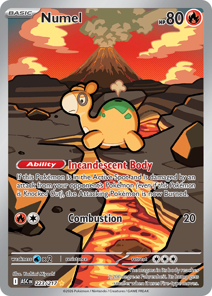 Pokémon — Numel — Ascended Heroes (IR)